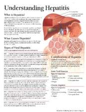 Understanding Hepatitis Model