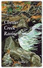 Chester Creek Ravine: Haiku