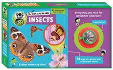 Look and Learn Insects: Sticks and Stones