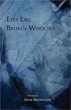 Eyes Like Broken Windows