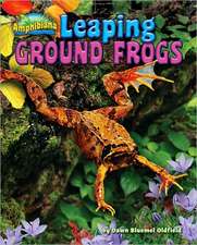 Leaping Ground Frogs