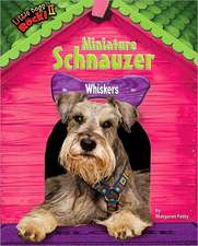 Miniature Schnauzer: Whiskers