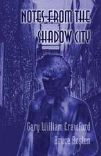 Notes from the Shadow City