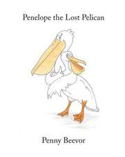 Penelope the Lost Pelican