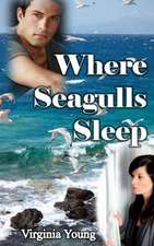 Where Seagulls Sleep: A Potpourri of Prose and Poetry