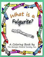 What Is a Fulgurite?: A Coloring Book by the Georgia Mineral Society, Inc.