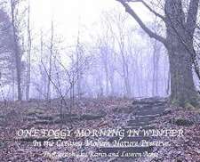 One Foggy Morning in Winter: In the Creasey Mahan Nature Preserve