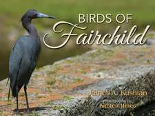 Birds of Fairchild