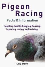 Pigeon Racing