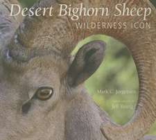 The Desert Bighorn Sheep: Wilderness Icon