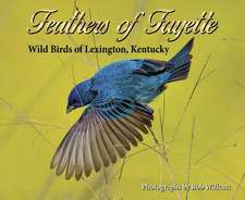 Feathers of Fayette