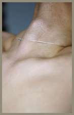 Wei, S: Season Particular