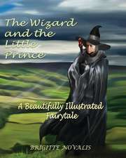 The Wizard and the Little Prince: A beautifully illustrated fairy tale