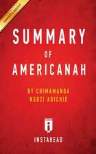 Summary of Americanah