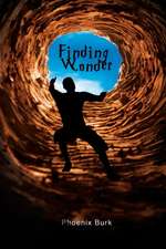 Finding Wonder