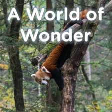 A World of Wonder