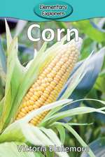 Corn