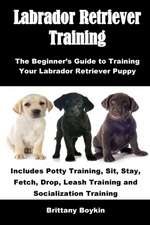 Labrador Retriever Training