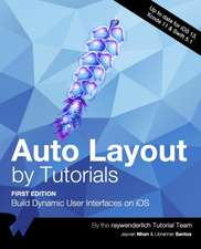 Nhan, J: AUTO LAYOUT BY TUTORIALS (FIRS