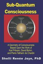 Sub-Quantum Consciousness