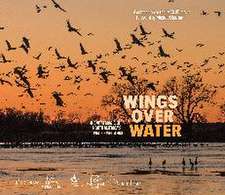 Wings Over Water