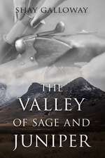 The Valley of Sage and Juniper