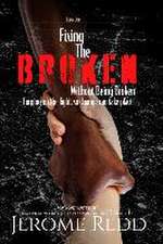 Fixing The Broken, Without Being Broken- Book 1