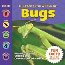 Wolfe, D: Fantastic World of Bugs