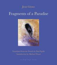 Fragments of a Paradise