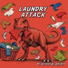 Laundry Attack