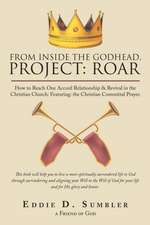 From Inside the Godhead, Project