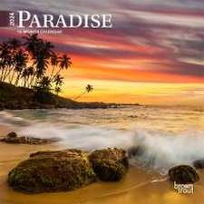 Paradise 2024 Mini 7x7