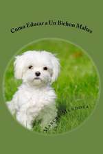 Como Educar a Un Bichon Maltes