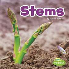 Stems