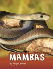 Mambas