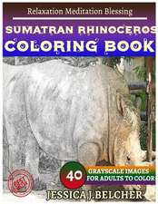 Sumatran Rhinoceros Coloring Books