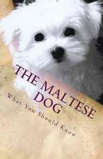 The Maltese Dog