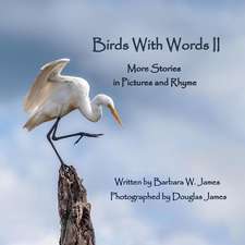 Birds with Words II