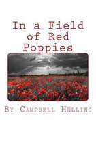 In a Field of Red Poppies