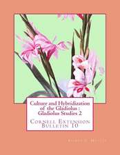 Culture and Hybridization of the Gladiolus