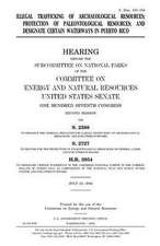 Illegal Trafficking of Archaeological Resources, Protection of Paleontological Resources, and Designate Certain Waterways in Puerto Rico