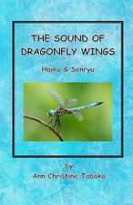 The Sound of Dragonfly Wings