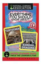 Everything You Should Know about Tortoises and Komodo Dragons