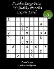 Sudoku Large Print - Expert Level - N11