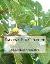 Smyrna Fig Culture