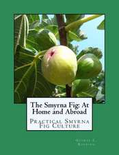 The Smyrna Fig