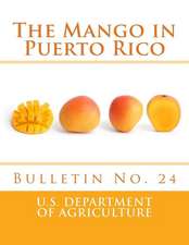 The Mango in Puerto Rico