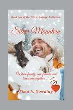 Silver Mountain