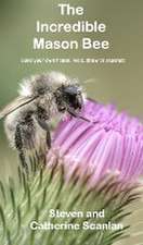 The Incredible Mason Bee