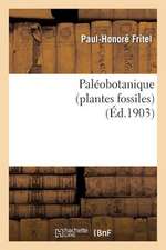 Paleobotanique (Plantes Fossiles)